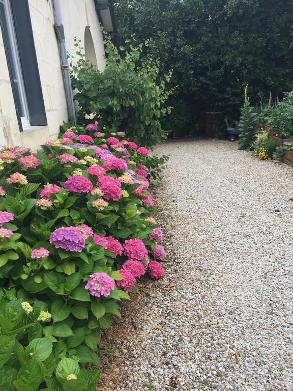Bed and Breakfast Domaine Des Deux Cedres Gauriac Exteriér fotografie